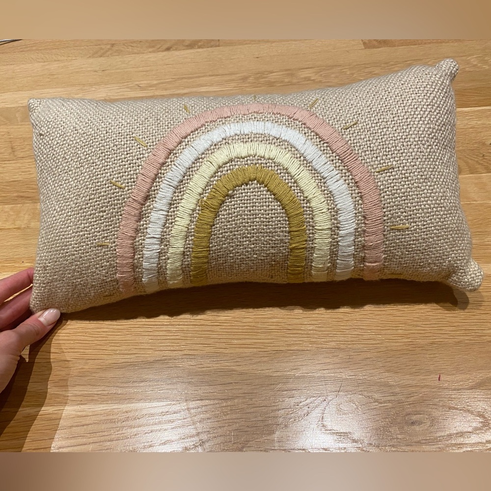 Wild Wawa rainbow pillow